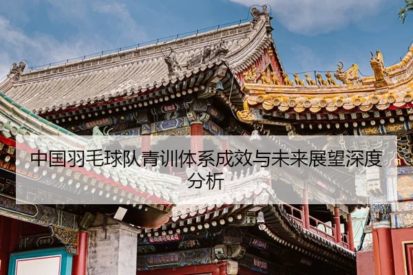 中国羽毛球队青训体系成效与未来展望深度分析